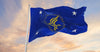 hhs-flag