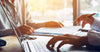 business-people-talking-to-customer-and-using-laptop-at-office-room