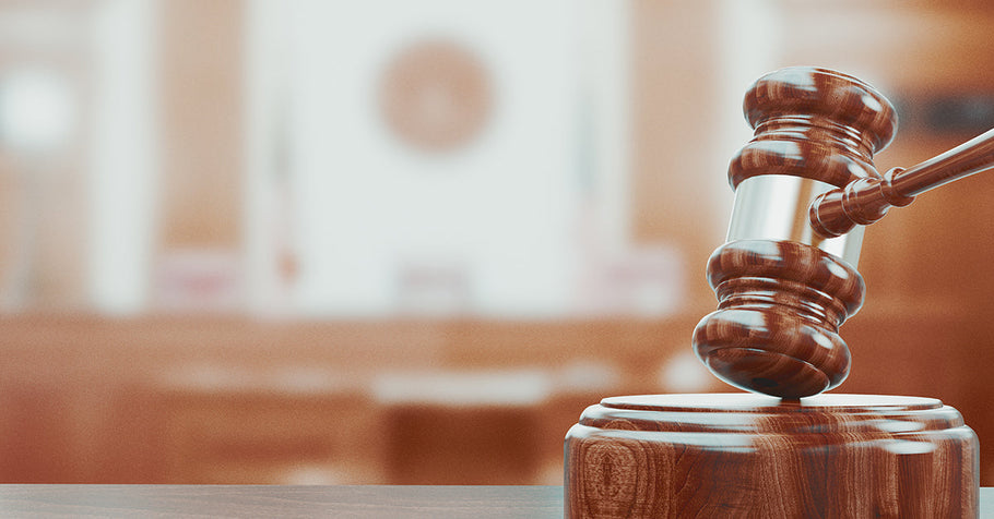 Michigan Case Against Prime, Express Scripts May Spark New Line of Anti-PBM Suits