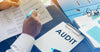 audit